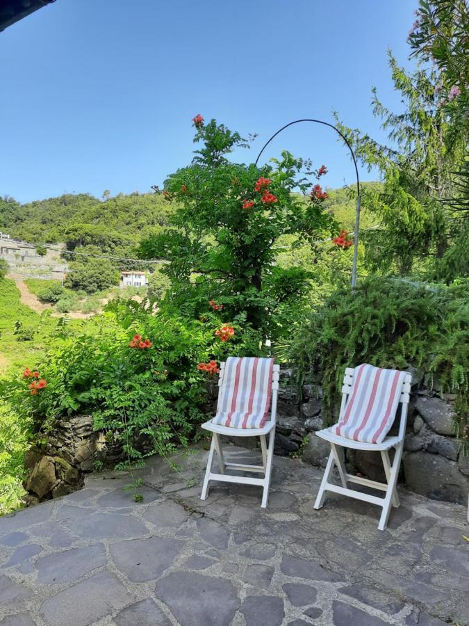 Ca Gialla De Drignana Vernazza Exteriér fotografie