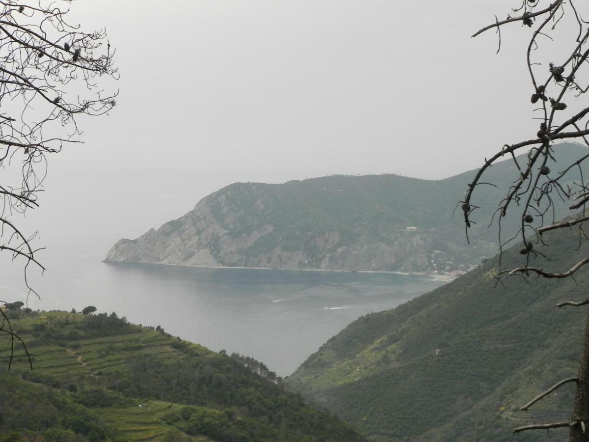 Ca Gialla De Drignana Vernazza Exteriér fotografie